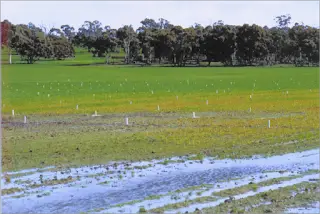 Water Lodging, What it is? and How to prevent and Control it? Water Lodging, What it is? and How to prevent and Control it?