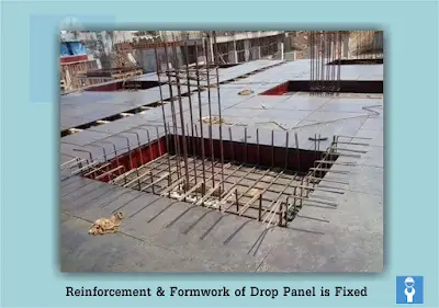 Reinforcement and Form work of Drop Panel is Fixed