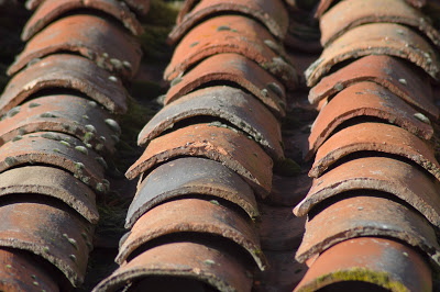 commercial roof types pictures