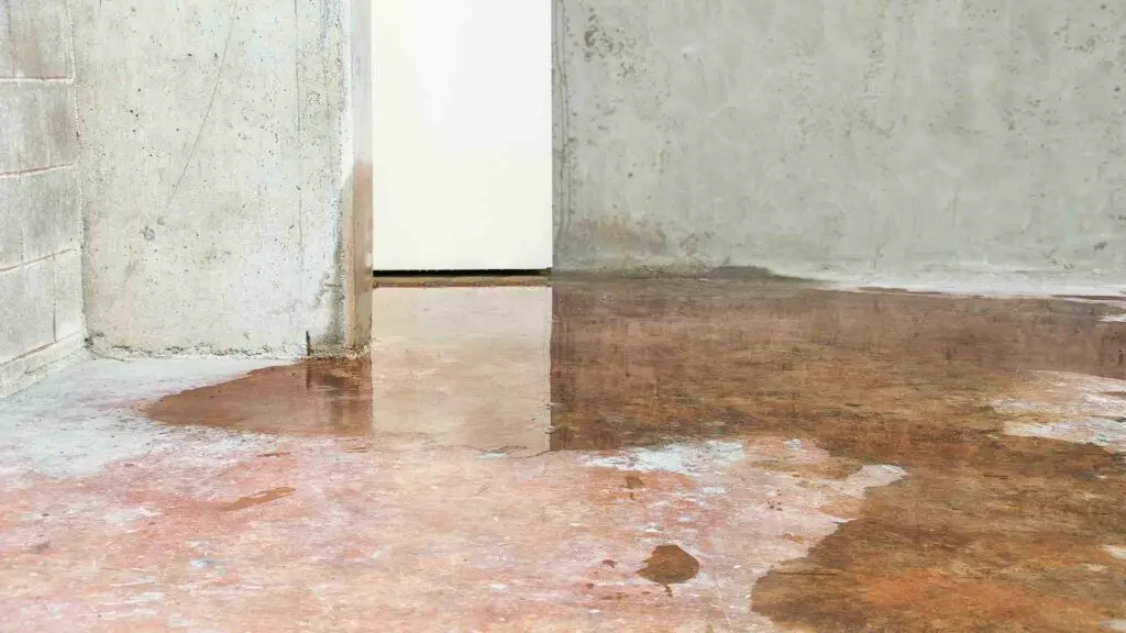 Water is everywhere on the floor of this house