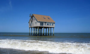 meaning of stilt house in hindi