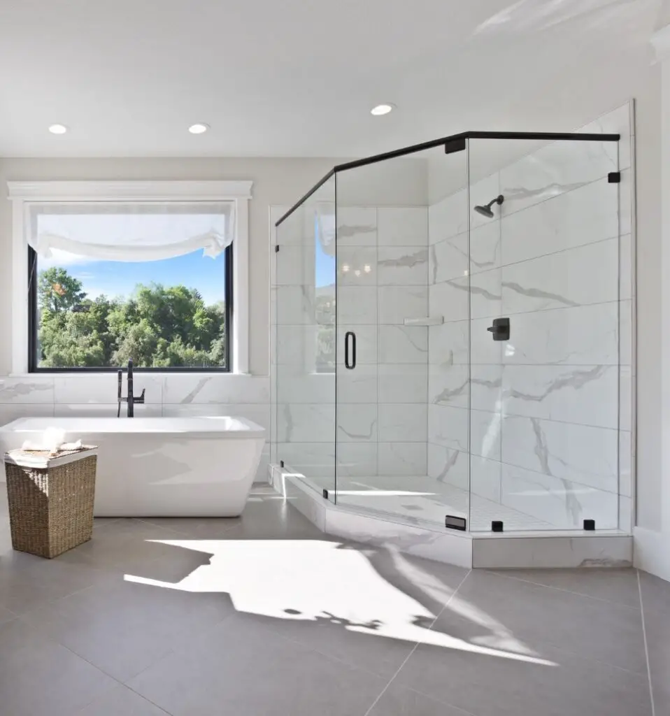 4: Neo Angle Shower Doors