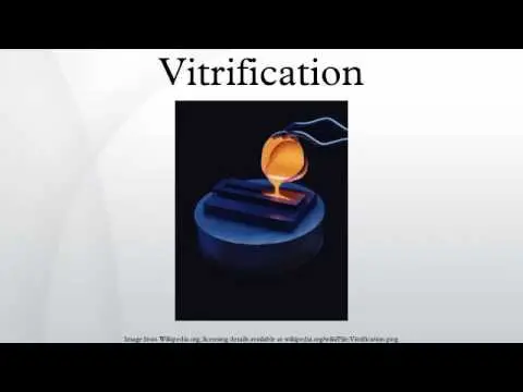 Understanding Vitrification