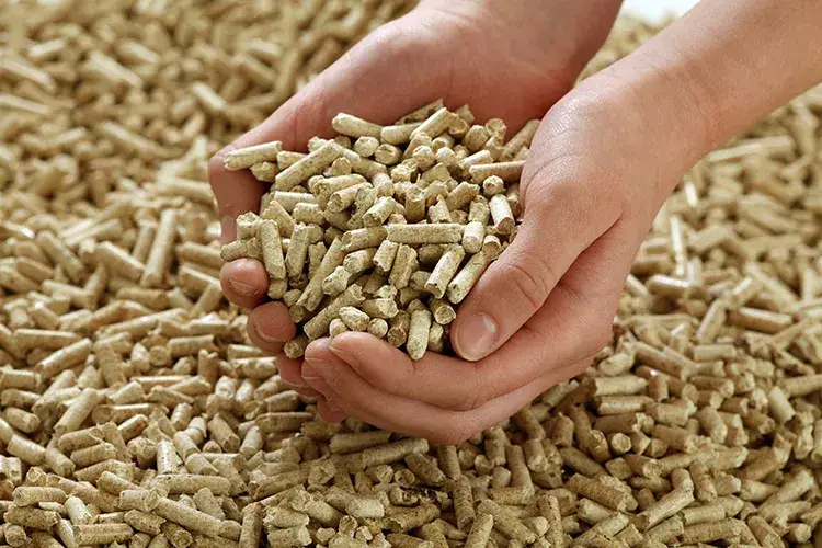Wood pellets: features and characteristics