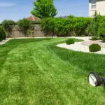 Lawn Maintenance Made Easy: Pro Tips for a Stunning Yard